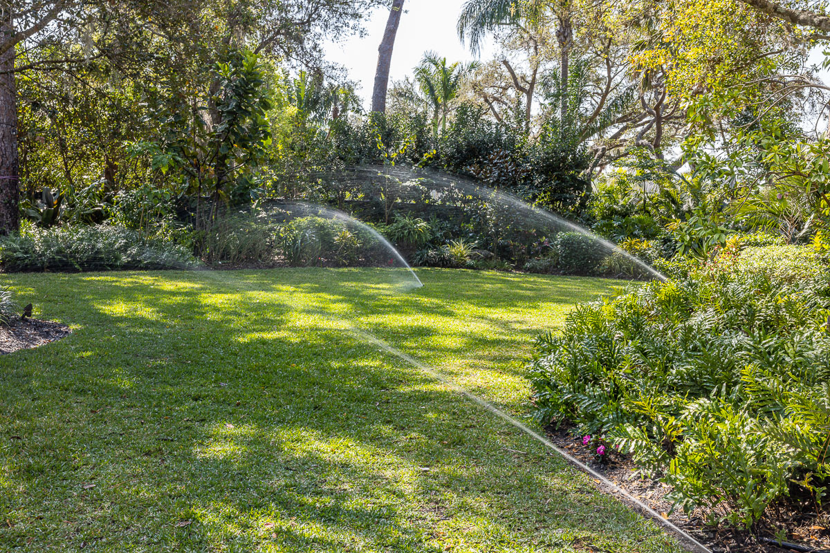 A Florida coastal home with palms creating a memorable first impression