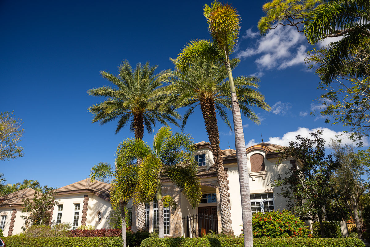 A restrained Florida garden composition illuminated at dusk