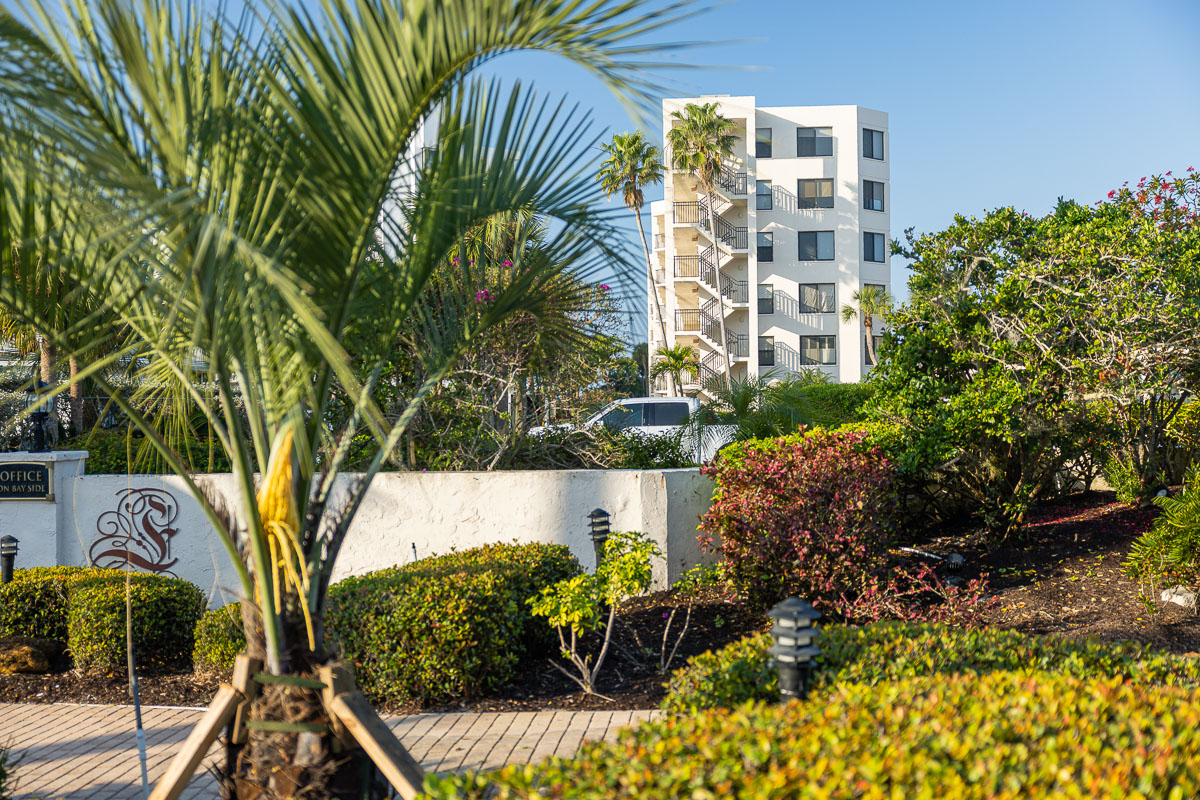 A Florida home framed by palms and formal planting