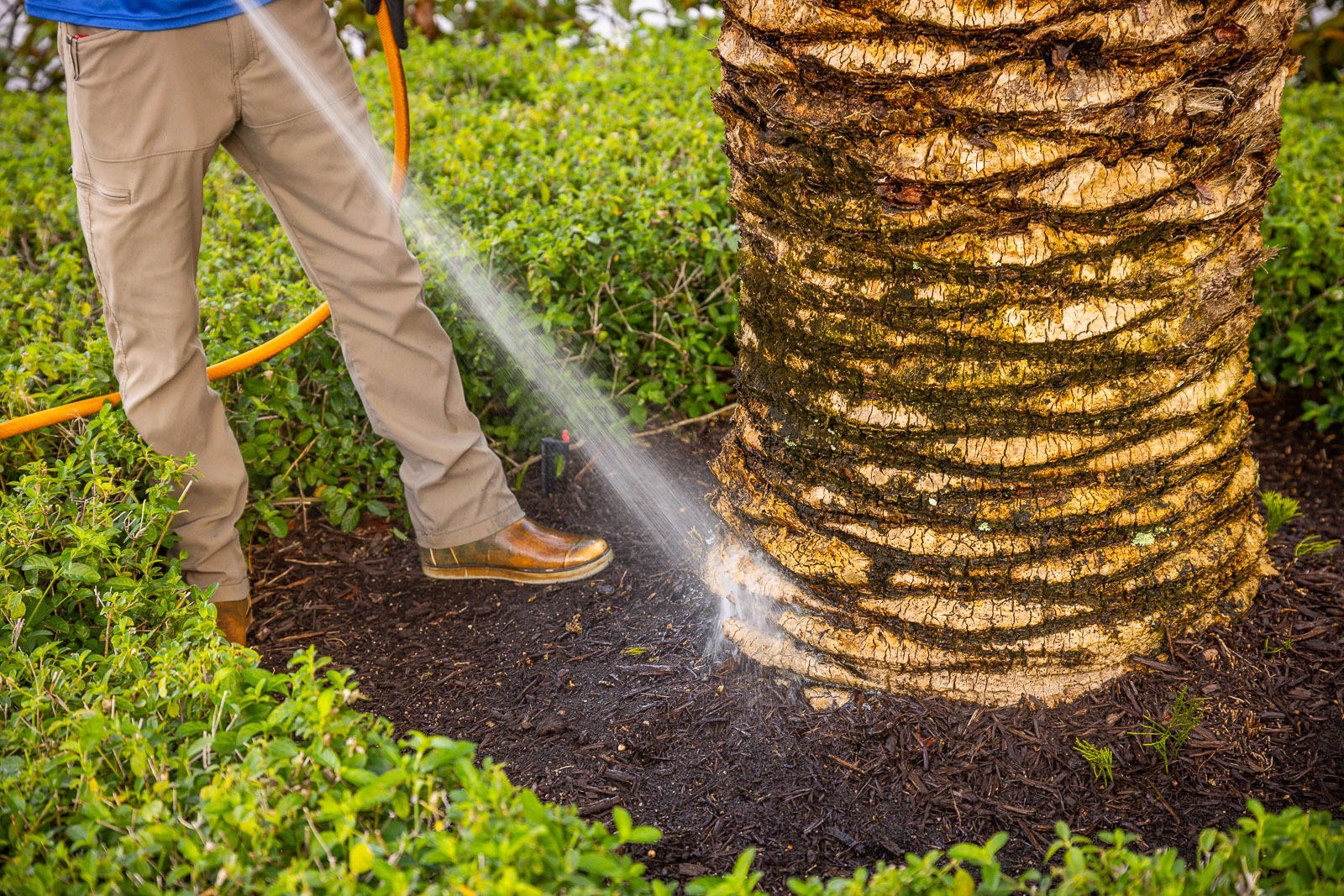 Florida professionals carrying out coordinated exterior work