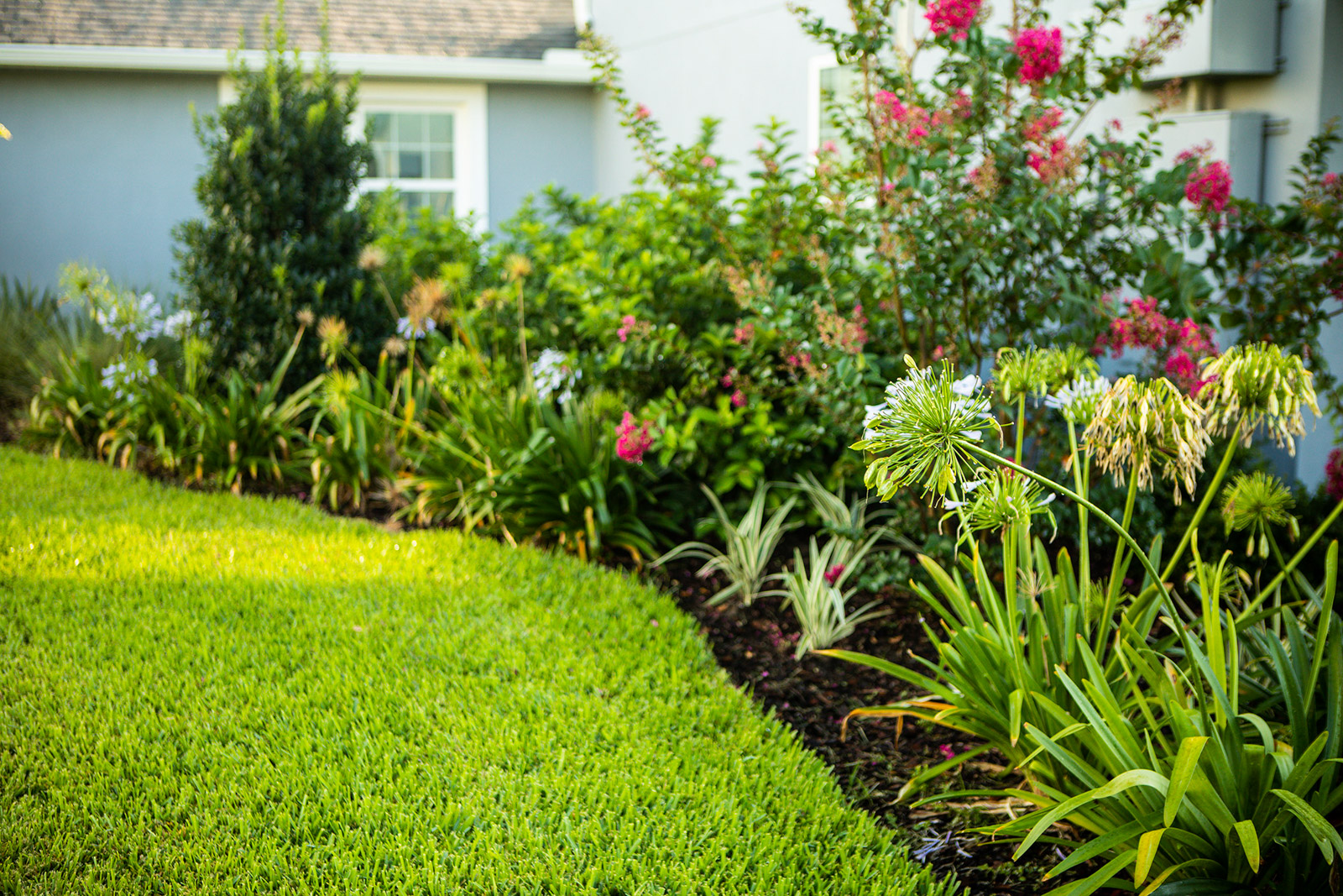 A Florida homeowner enjoying a personalized tropical landscape