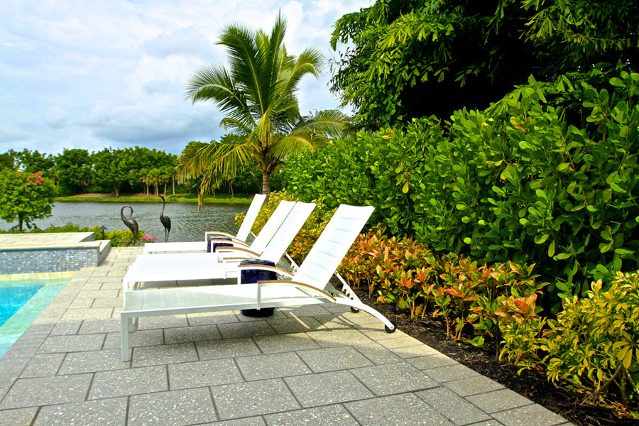 Cohesive tropical landscape at a Merritt Island home
