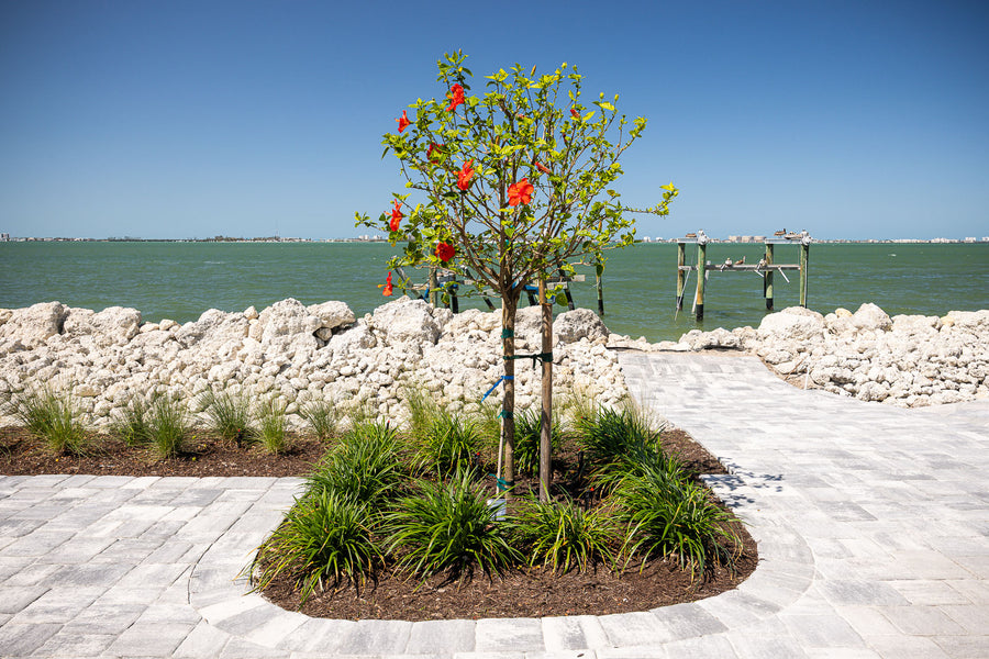 Flowering ornamental tree beside a waterfront paver patio